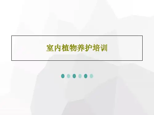 室内植物养护培训PPT文档25页