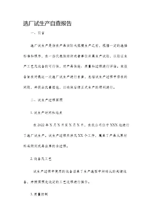 选厂试生产自查报告