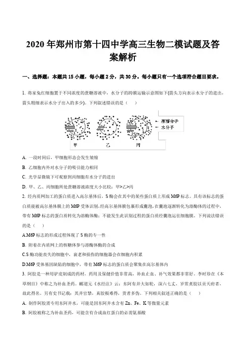 2020年郑州市第十四中学高三生物二模试题及答案解析