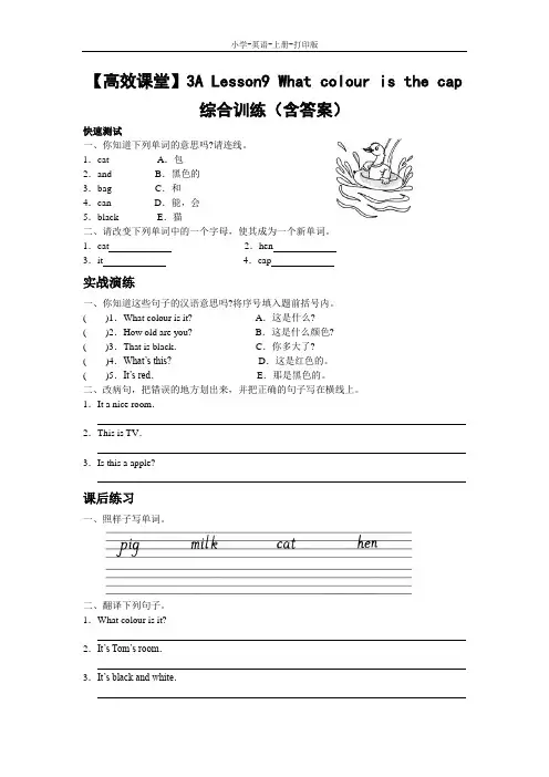 科普版-英语-三年级上册-【高效课堂】3A Lesson9 What colour is the cap综合训练(含答案)