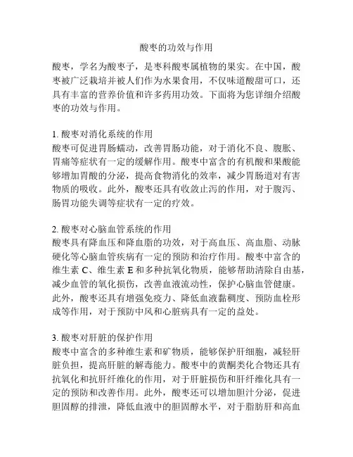 酸枣的功效与作用