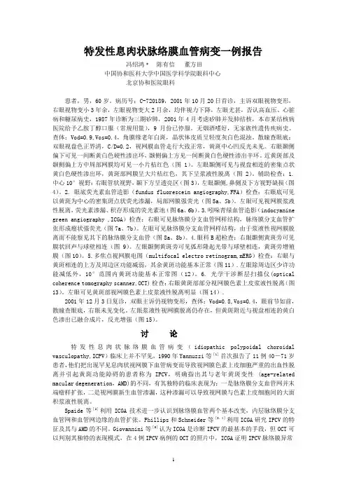 IPCV报告
