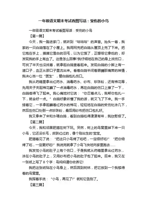 一年级语文期末考试看图写话：受伤的小鸟