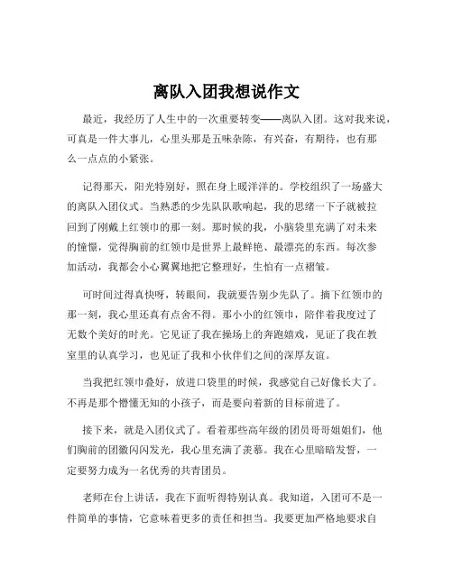 离队入团我想说作文