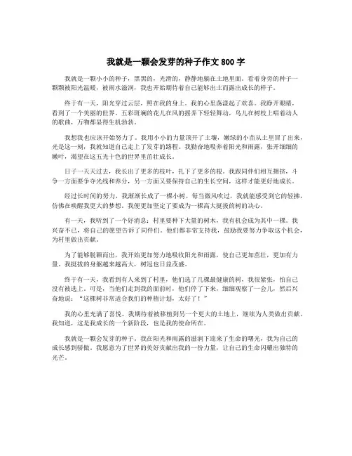 我就是一颗会发芽的种子作文800字