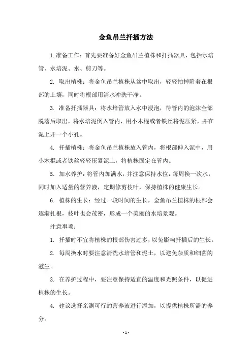 金鱼吊兰扦插方法