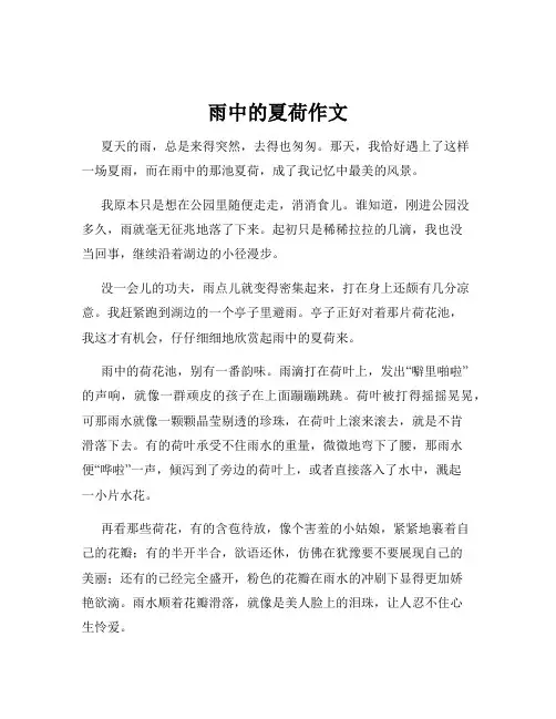 雨中的夏荷作文 2