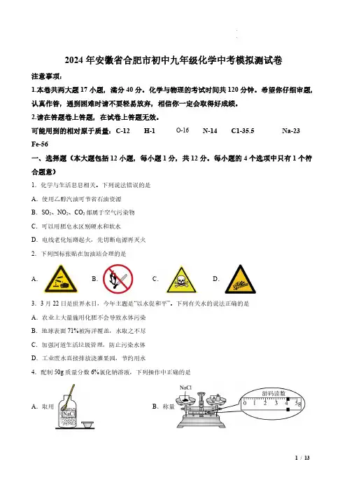 2024年安徽省合肥市初中九年级化学中考模拟测试卷(一)