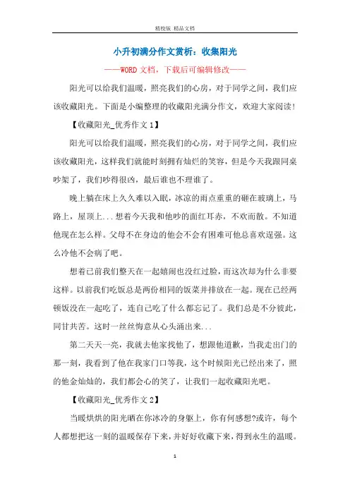 小升初满分作文赏析：收集阳光