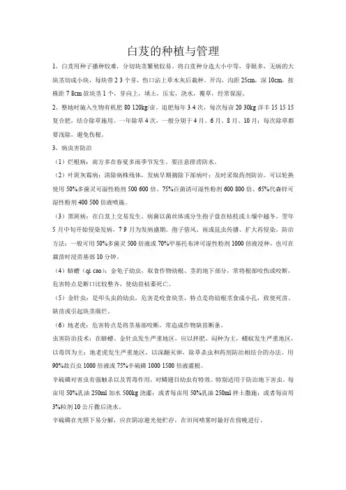 白芨的种植与管理