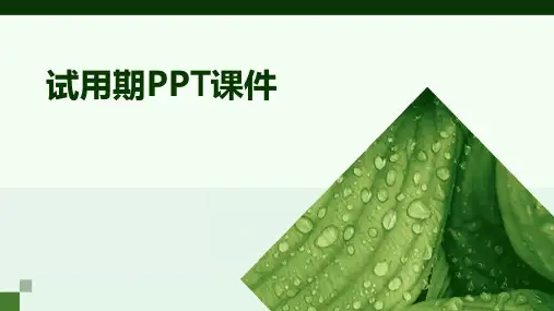 试用期ppt课件