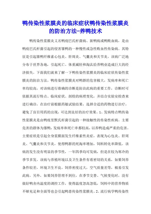 鸭传染性浆膜炎的临床症状 鸭传染性浆膜炎的防治方法 - 养鸭技术