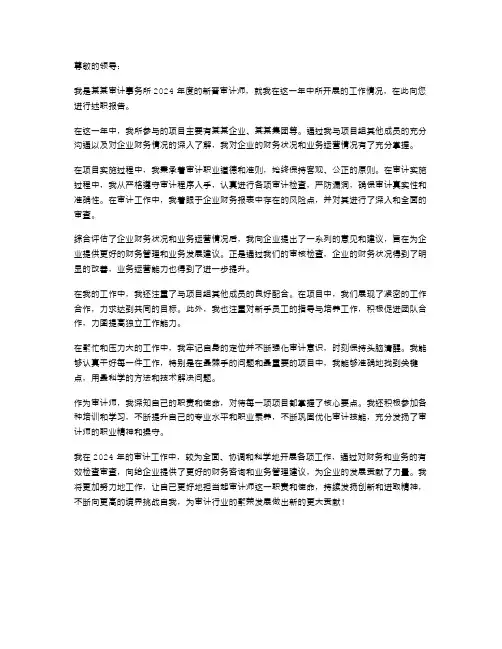 2024年审计工作的述职报告范文