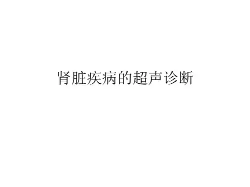 超声医学肾脏课件