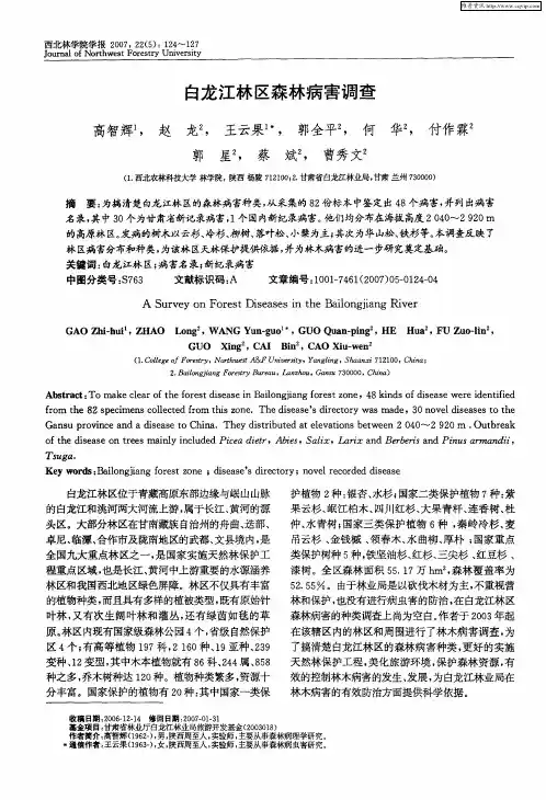 白龙江林区森林病害调查
