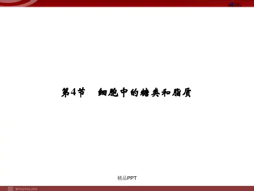 人教版高中生物必修1第2章第4节 细胞中的糖类和脂质课件(1)