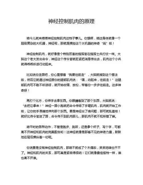 神经控制肌肉的原理