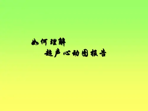 如何解读超声心动图