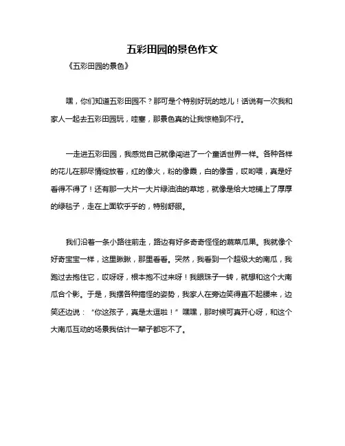 五彩田园的景色作文