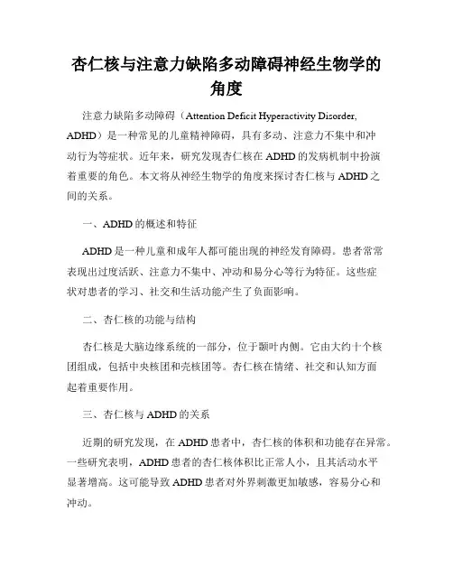 杏仁核与注意力缺陷多动障碍神经生物学的角度