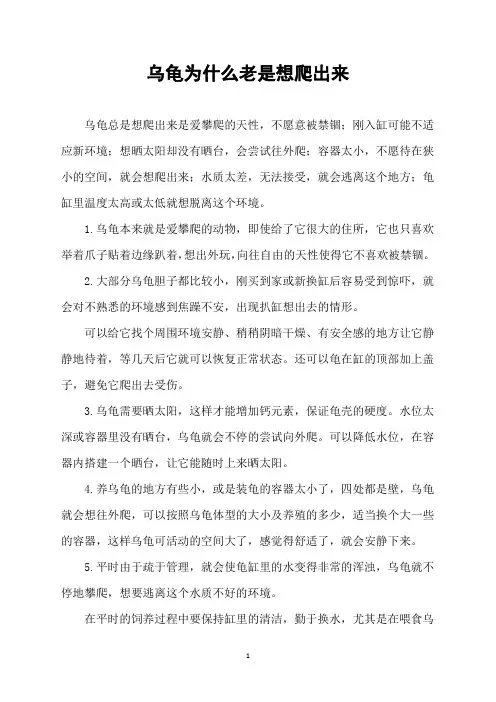 乌龟为什么老是想爬出来