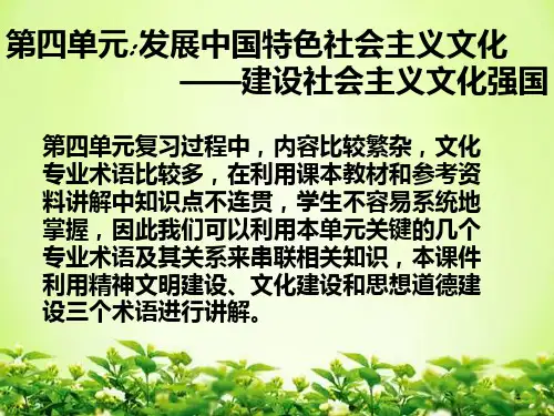 高中政治文化生活第四单元PPT课件