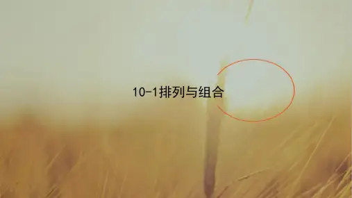 2018年高考数学总动员：10-1排列与组合 精品