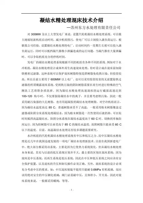 精处理技术介绍