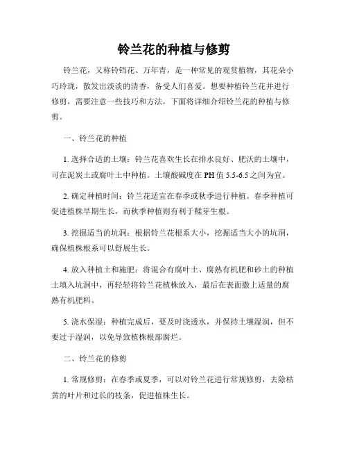 铃兰花的种植与修剪
