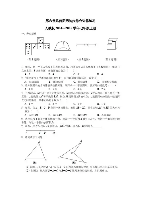 第六章几何图形初步综合训练练习人教版2024—2025学年七年级上册