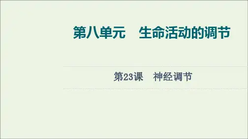 2022版新教材高考生物一轮复习第8单元生命活动的调节第23课神经调节课件新人教版.ppt