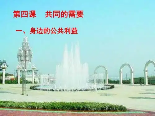 八年级政治身边的公共利益