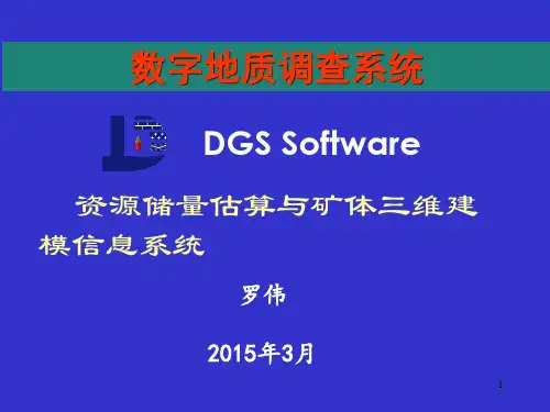 DGSS讲解课件