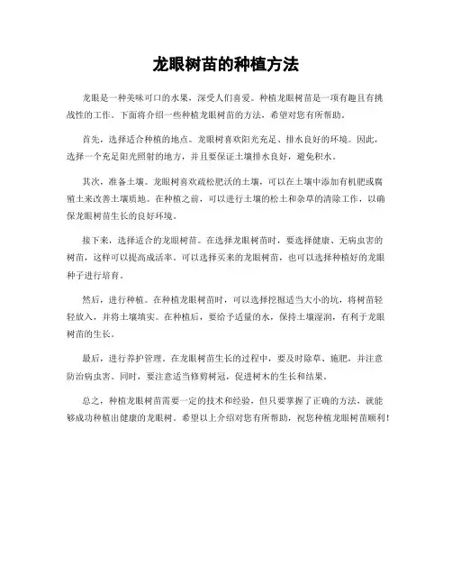 龙眼树苗的种植方法