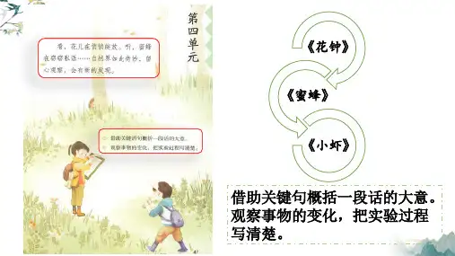 三年级语文下册小虾作业练习附答案