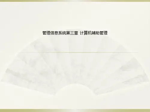 管理信息系统第三章  计算机辅助管理