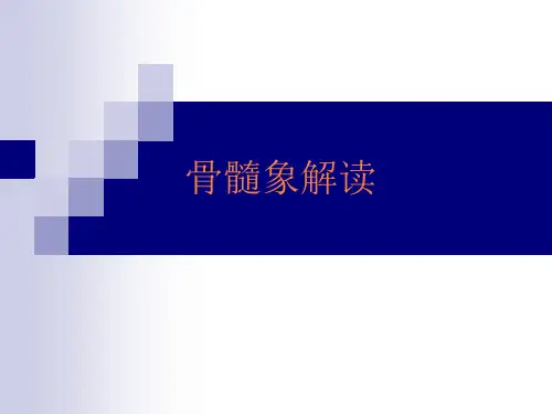 骨髓象解读PPT课件