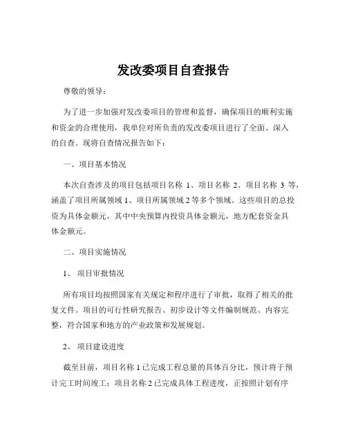 发改委项目自查报告