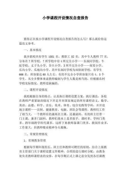小学课程开设情况自查报告