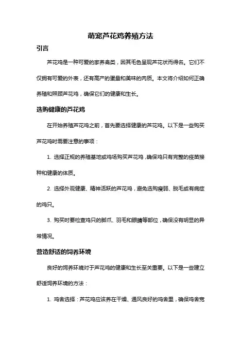 萌宠芦花鸡养殖方法