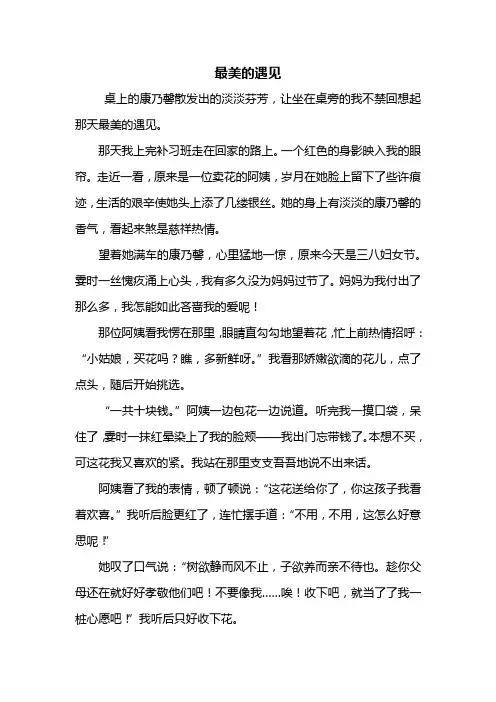 初二作文：最美的遇见作文600字