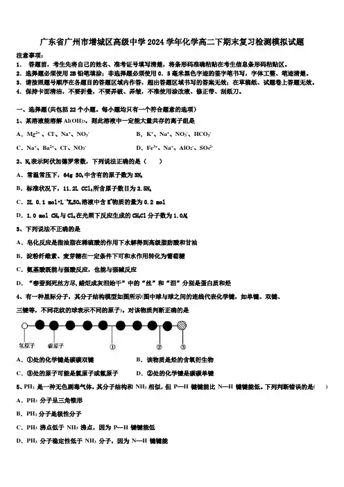 广东省广州市增城区高级中学2024学年化学高二下期末复习检测模拟试题(含解析)