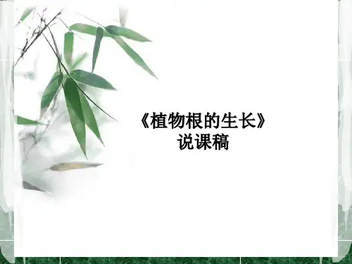 植物根的生长说课稿PPT