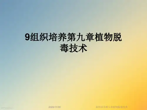 组织培养第九章植物脱毒技术