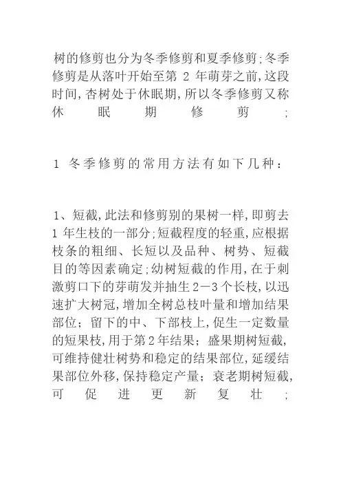 杏树修剪的常用方法