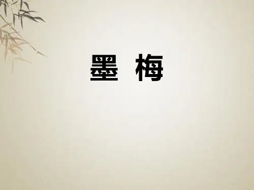 《墨梅》ppt课件