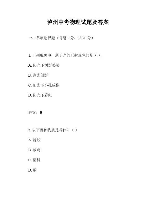 泸州中考物理试题及答案