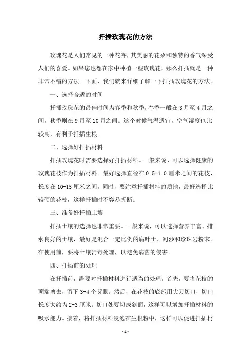 扦插玫瑰花的方法