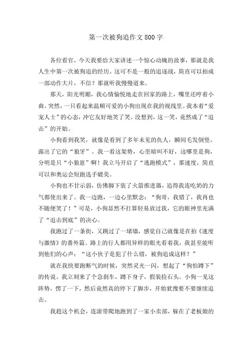 第一次被狗追作文800字