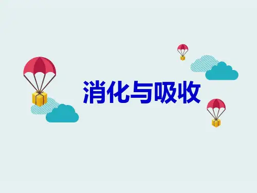 六年级下册科学-消化与吸收优秀课件冀教版